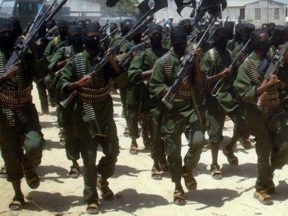 Al-Shabaab militants training