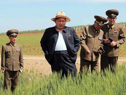 NORTH KOREA GOVERNMENT