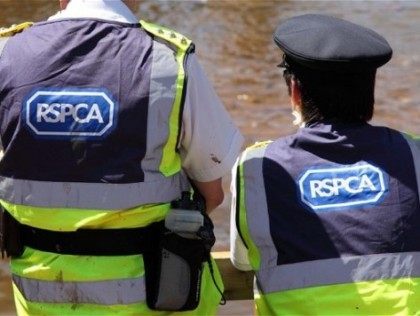 RSPCA-Officers-Telegraph