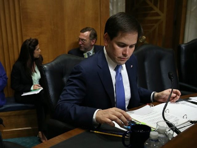 Republican presidential candidate Sen. Marco Rubio (R-FL) prepares to question Assistant U.S. Secretary of State for Western Hemisphere Affairs Roberta Jacobson as she testifies before the Senate Foreign Relations Committee May 20, 2015 in Washington, DC. The committee heard testimony on the topic of 'U.S. Cuban Relations - The Way …