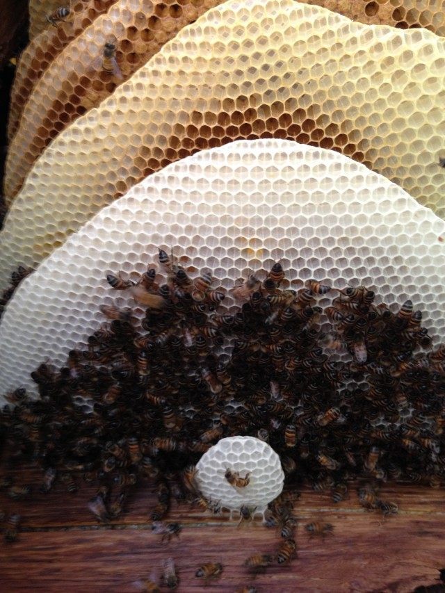 The Associated Press