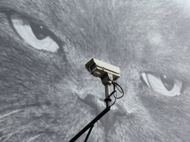 CCTV camera is positioned in front of a giant poster of a cat on April 30, 2014 in London,