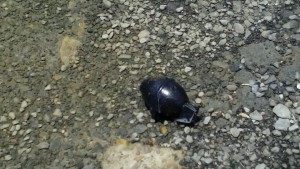 Unexploded grenade thrown by suspected Gulf Cartel members in the border city of Matamoros