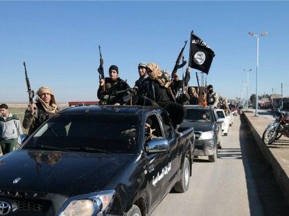 Report: Islamic State ‘Is Reconstituting a Capable Insurgent Force in Iraq and Syria’