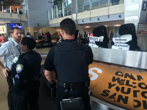 Relentless animal rights activists attempted to make waves at San Diego airport’s baggage claim with two orca-suited protesters on Thursday, but few passers-by seemed to notice their antics as law enforcement officers pulled them off the conveyer.