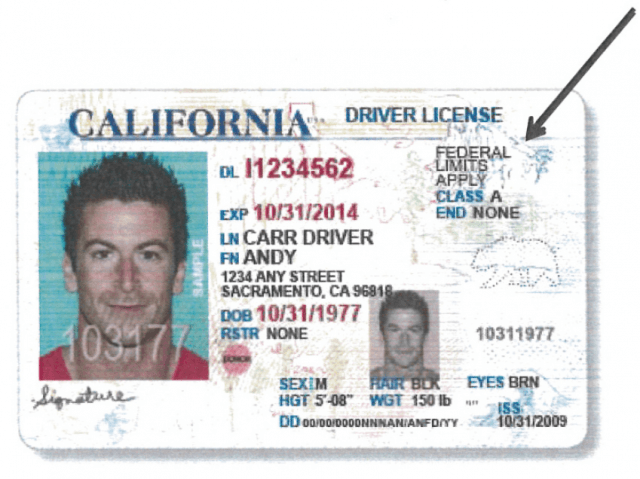 DMV Illegal (DMV / SCPR)