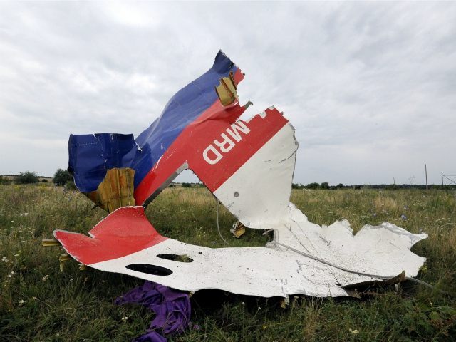 Malaysia-Airlines-flight-MH17-crash-site-AFP