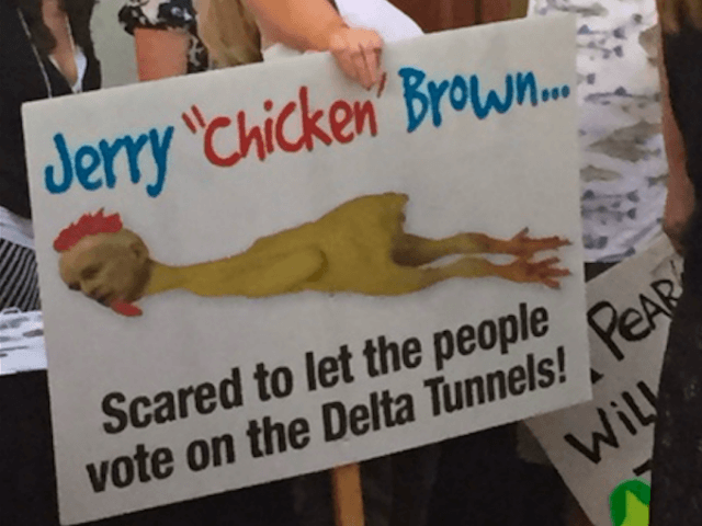 Jerry Chicken Brown (FlashReport.org)