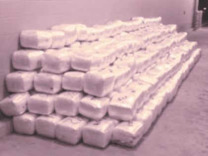 two-tons-of-marijuana-seized-at-Laredo-North-checkpoint