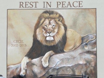 Cecil mural (Michelle Moons / Breitbart News)