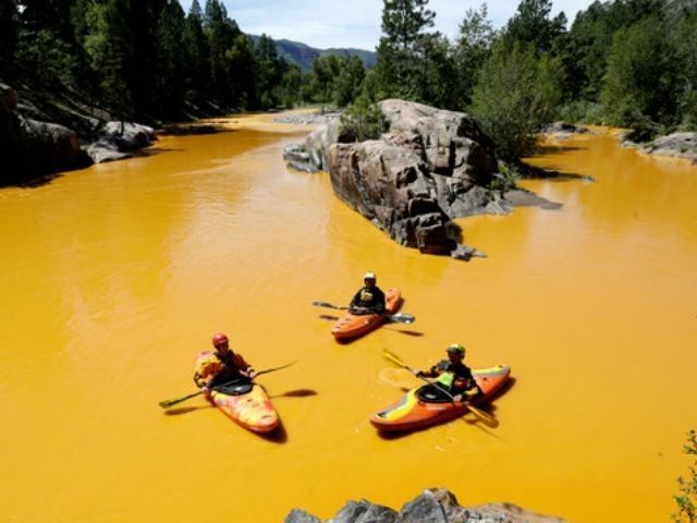 People kayaking in the Animas River near Durango, Colo., last Thursday, in water colored from a mine waste spill. The river is now closed indefinitely, with visitors warned to stay out.