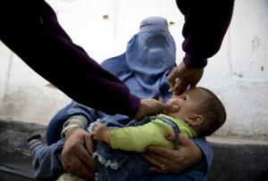 A patient's lingering polio virus complicates its eradication