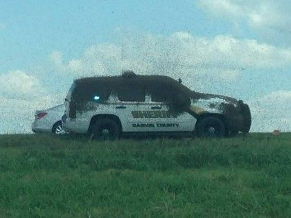 Bees swarm OK law enforcement vehicles