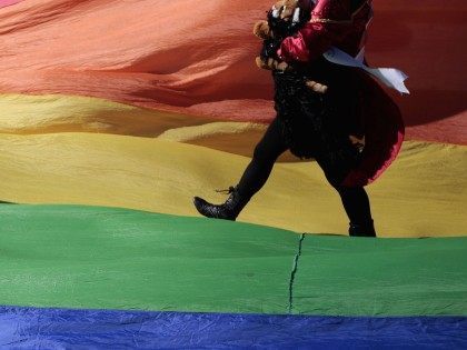 Gay Mexico (Pedro Pardo / AFP : Getty)