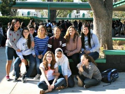 Granada Hills High School Diversity AP