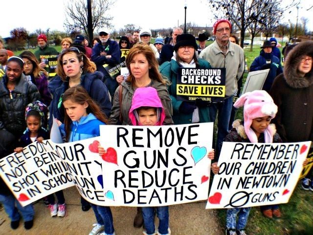 Gun Control Rally