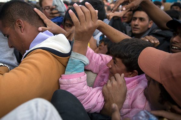 Migrants who had crossed the Serbian border into Hungary fight to get on a bus taking peop