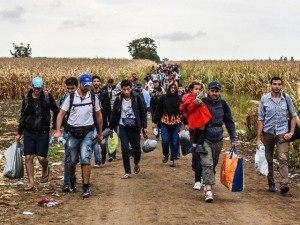 Migrants Serbia Croatia AFP