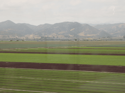 California fields (Joel Pollak / Breitbart News)