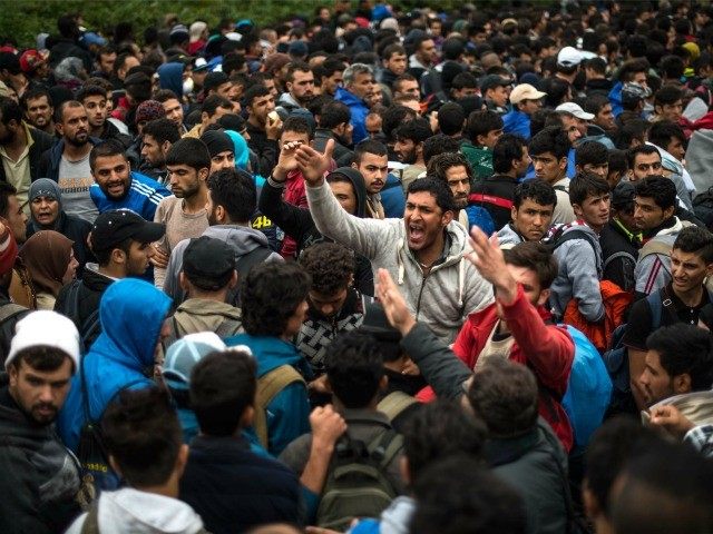 Image result for migrants invasion