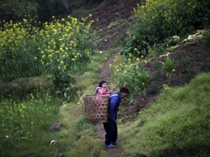 Chinese-woman-carries-child-in-basket-ap
