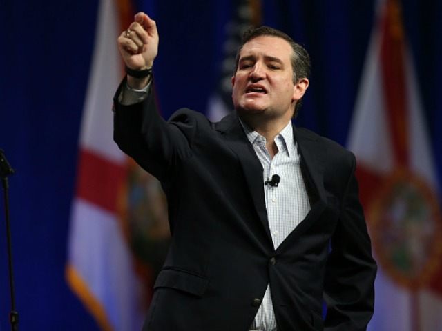 Republican presidential candidate Sen. Ted Cruz (R-TX) speaks during the Sunshine Summit c