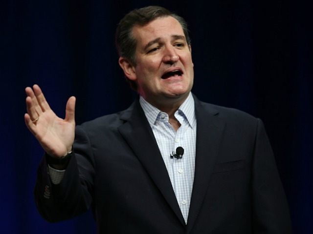 Republican presidential candidate Sen. Ted Cruz (R-TX) speaks during the Sunshine Summit c