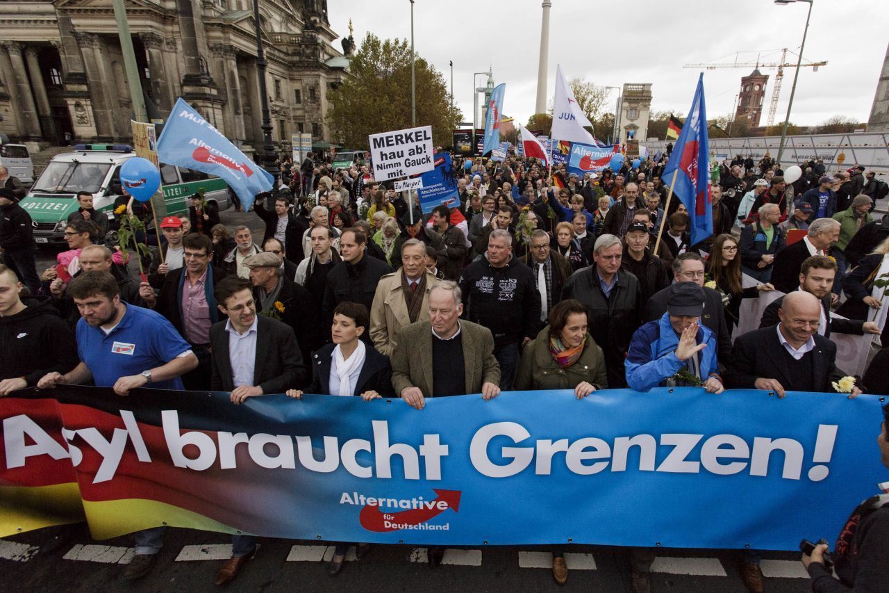 AfD Supporters (Carsten Koall/Getty Images)