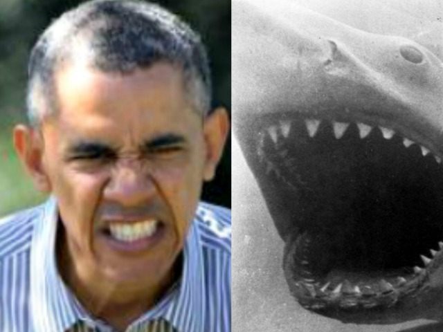 Obama Scarey Face Carolyn Caster AP (L) and Jaws