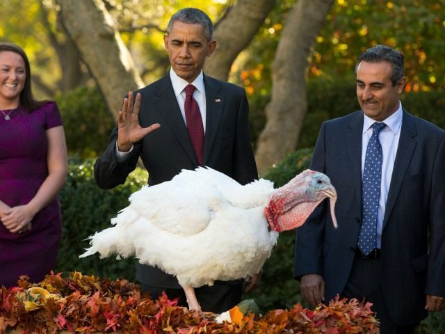 Obama-Thanksgiving-Turkey-AP