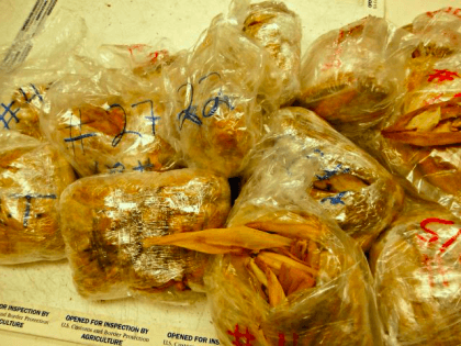 Pork Tamales seized (U.S. Customs and Border Protection)