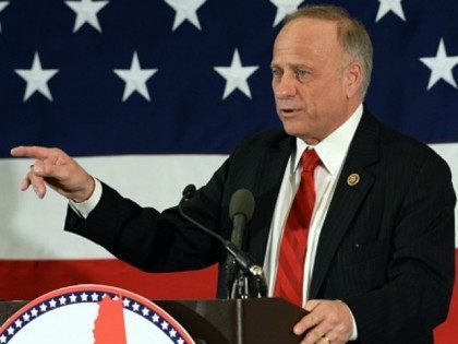 Rep. Steve King (R-IA) speaks at the First in the Nation Republican Leadership Summit April 17, 2015 in Nashua, New Hampshire.