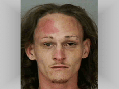 florida man kills father with hammer