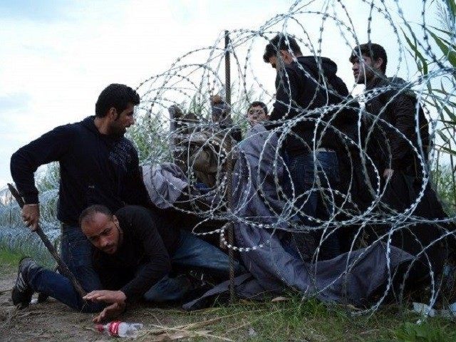 Border Fences Much Cheaper Than Mass Migration