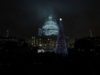 Christmas Tree is seen before the US Capitol Building during the ceremonial lighting of the 74-foot Lutz spruce, from the state of Alaska, on Capitol Hill December 2, 2015 in Washington, DC. / AFP / BRENDAN SMIALOWSKI (Photo credit should read