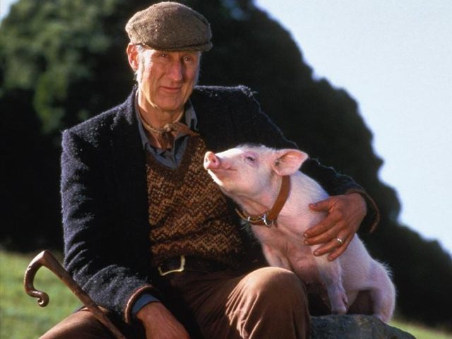 James-Cromwell-Babe