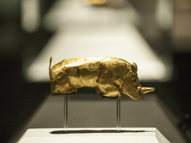 golden rhino