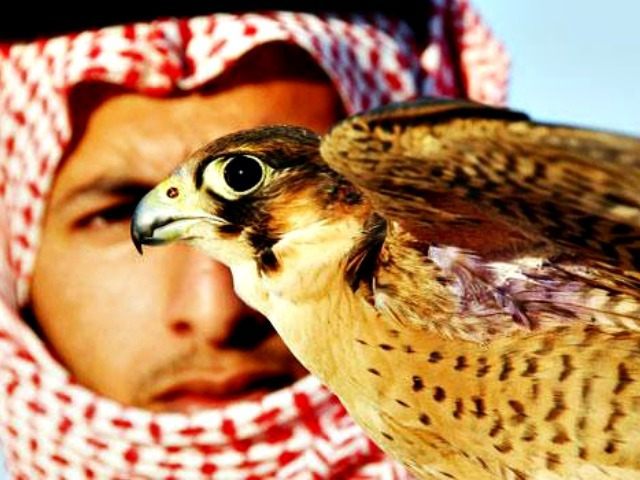 Saudi and Falcon Reuters