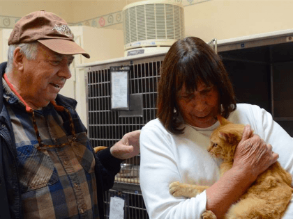 Cat reunion (Marin Humane Society / Facebook)