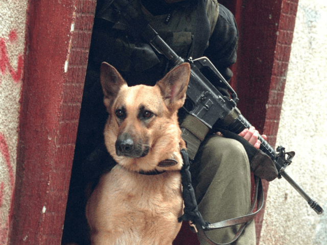 IDF dog with Israeli soldier