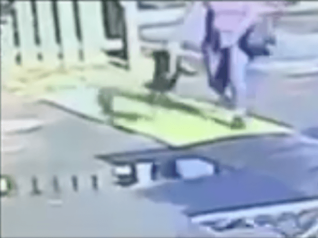 Woman throwing dog (Screenshot / Youtube / VIRAL)