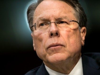 Getty Images / Photo of NRA's Wayne LaPierre