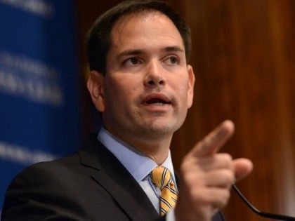 rubio-senate AP