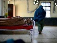 Migrant Diseases