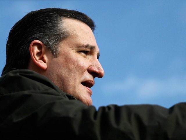 Republican presidential candidate Sen. Ted Cruz, R-Texas speaks Tuesday, Jan. 12, 2016, du