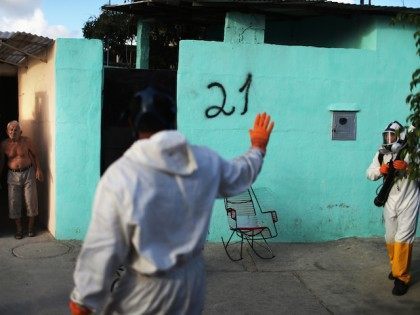 RECIFE, BRAZIL - JANUARY 28: A resident looks on a health workers fumigate in an attempt to eradicate the mosquito which transmits the Zika virus on January 28, 2016 in Recife, Pernambuco state, Brazil. Two two-man teams were fumigating in the city today. Health officials believe as many as 100,000 …