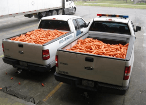 Carrots