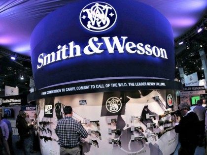 Smith & Wesson Display AP