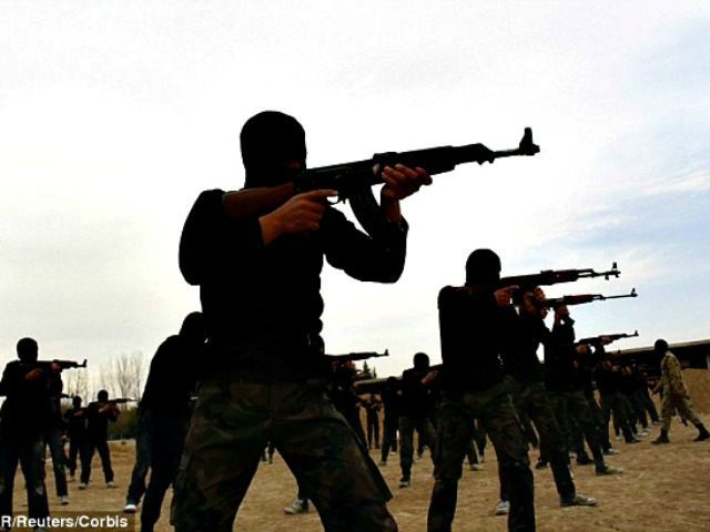 Syrian Fighters Smuggled Weapons Reuters