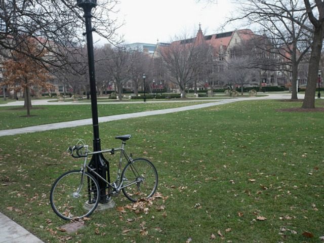 The Main Quadrangles (Quad) on the Hyde Park Campus of the University of Chicago are nearl